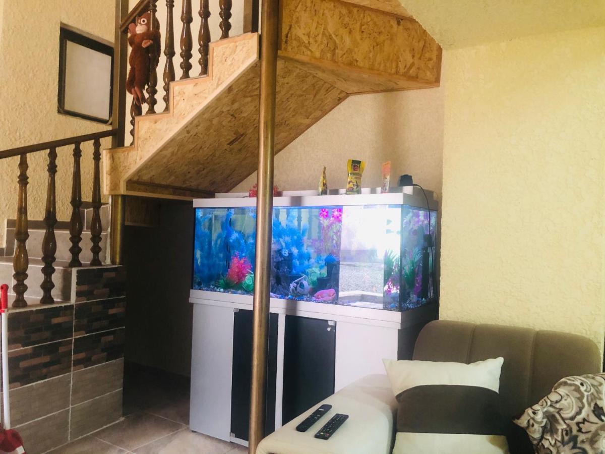 Sweet Home Hostel Бишкек Екстериор снимка